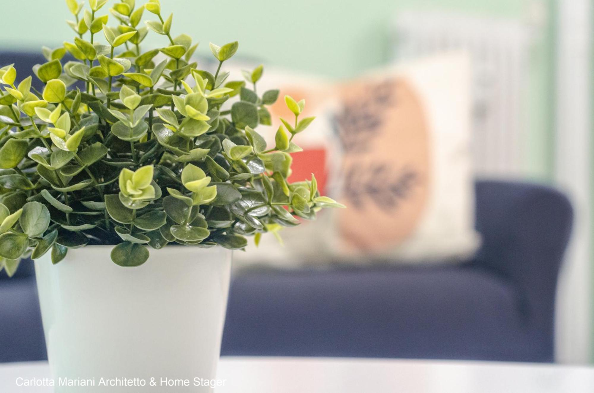 Apartamento Acquedotti House Roma